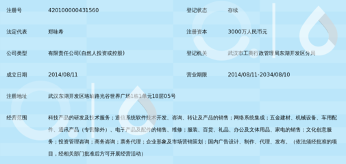 武漢和悅智付科技有限責任公司 信息技術咨詢服務的行業先鋒
